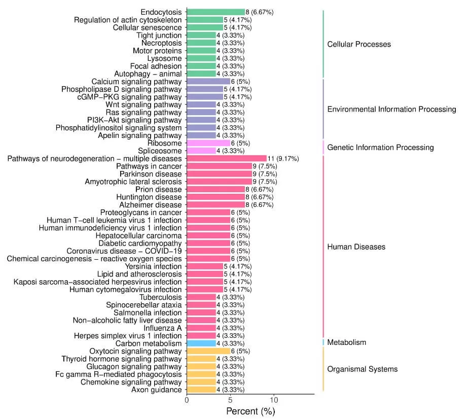 figure 8. Visualization of KEGG Annotation Results for Differential Proteins